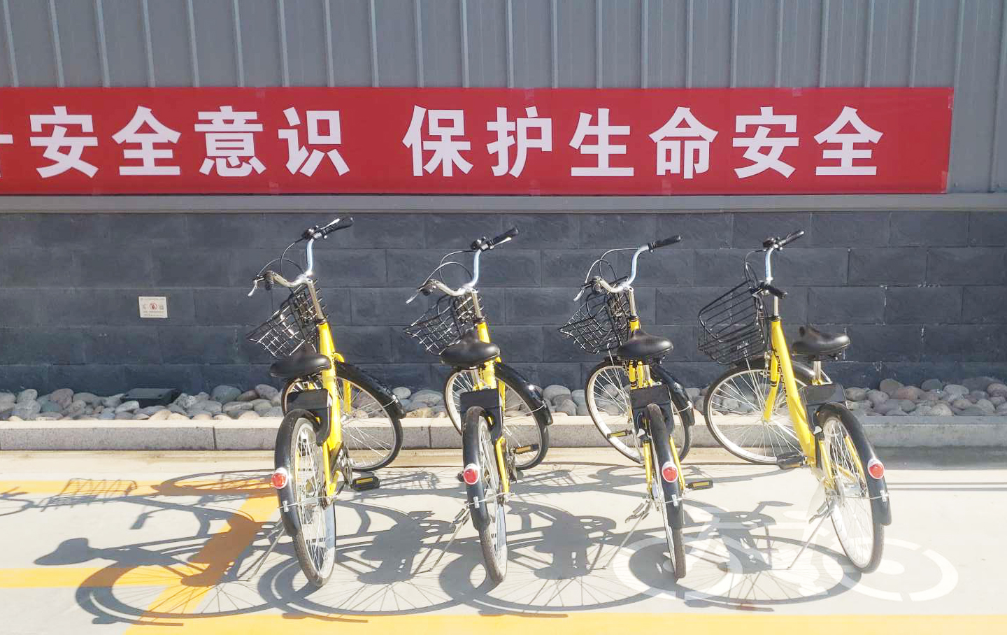 助力辦公路上“最后一公里” | Pando龐度·河北龍大引入免費(fèi)“小黃車”，員工辦公更方便啦！